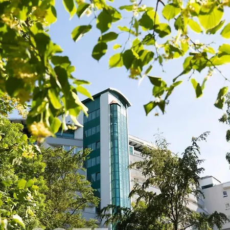 Papillon 코워브제크