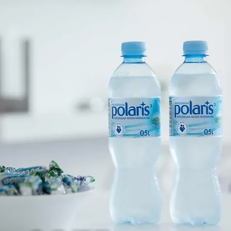 Papillon 코워브제크