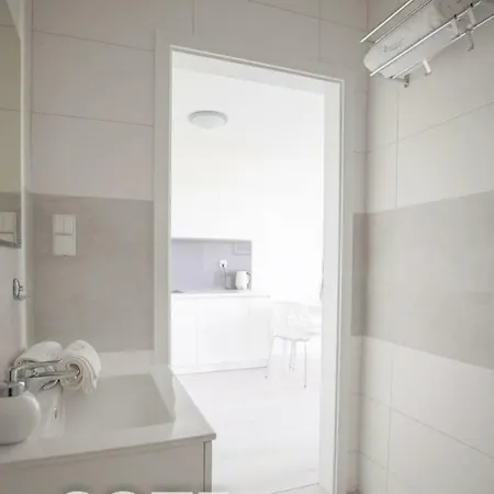 Papillon * Kołobrzeg