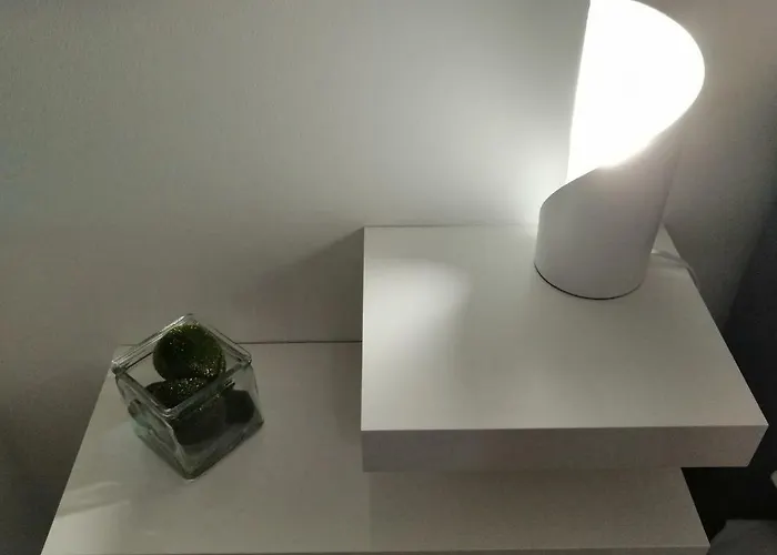 Papillon * Kołobrzeg